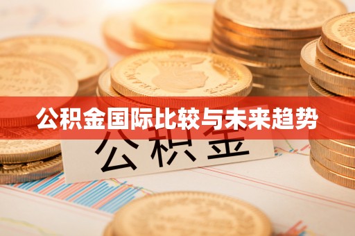 阿拉尔公积金国际比较与未来趋势
