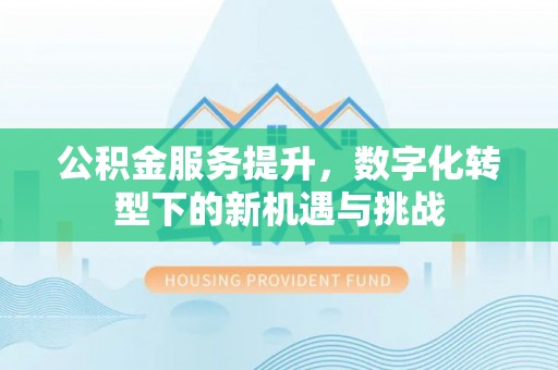 阿拉尔公积金服务提升，数字化转型下的新机遇与挑战