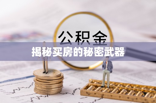 阿拉尔揭秘买房的秘密武器