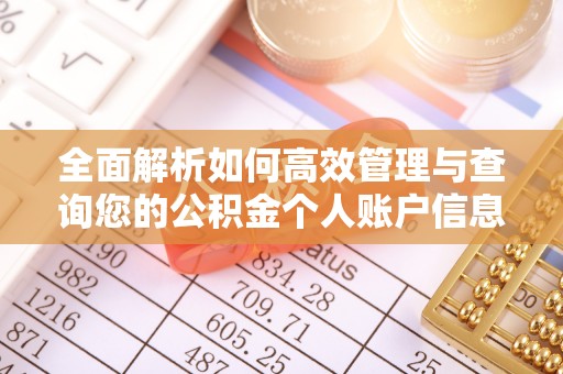 阿拉尔全面解析如何高效管理与查询您的公积金个人账户信息