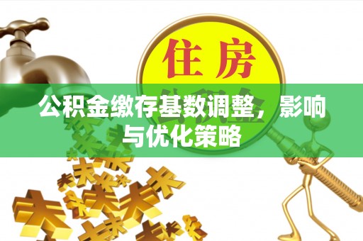 阿拉尔公积金缴存基数调整，影响与优化策略