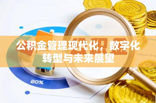 阿拉尔公积金管理现代化，数字化转型与未来展望