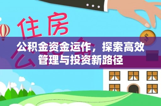 阿拉尔公积金资金运作，探索高效管理与投资新路径