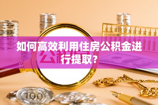 阿拉尔如何高效利用住房公积金进行提取？