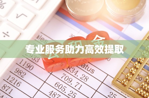 阿拉尔专业服务助力高效提取